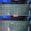 침산초등학교 남(동)편 | 사이프러스CC 후기 남,동코스 2025년 12월초 라운드