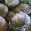 우후농장 이미지