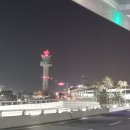 그루터기배움터 Daum카페