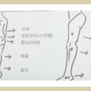 실기응용편-35 소아마비 이미지