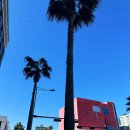 탑동충전소 이미지