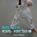 아이로운 태권도장 | 태권도 띠 순서 한눈에 보기｜부모가 헷갈리는 포인트 정리