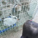 좋은목장 이미지