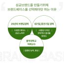 세화스크린골프 | CI BI 디자인 업체 선택 3가지 기준, 가격, 업체 추천