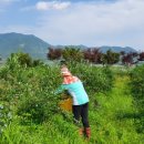 남규농장 이미지