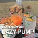 레이지펌프 | 제주 애견동반 애월 카페 대형견 레이지펌프 재방문 후기