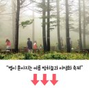 7월에 꼭 가야할 고지대 여행지 이미지