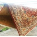 카페트세탁 스팀지니 이미지