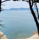 카멜리아민박 이미지