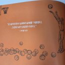 『신경 끄기의 기술』 2회독 후기 | 인생에서 가장 중요한 것만 남기는 힘