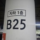 타임리스피부과의원 | 텐써마 서울 병원 추천; BLS 클리닉 꿈꾸는성형외과 타임리스피부과 Hershe 아이디병원