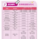 자라섬째즈길 | 9월 축제 가을 꽃 가평 자라섬 남도 꽃정원 코스모스 백일홍 축제