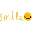 신촌애견미용실 이미지