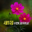 시월의 다짐 / 詩 정연복 낭송 무지개 소리 이미지