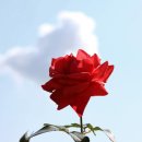 직업상담사 필기 - 노동시장론 이미지