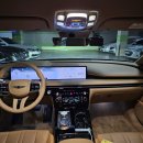 황금카모터스 이미지