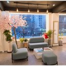 미스킨케어 이미지