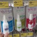 은평애견 이미지