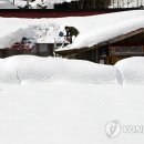 제비1리 이미지