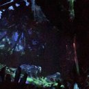 애니멀킹덤 | 환상의 나라 올랜도, 디즈니월드 3편 Animal Kingdom — 애니멀 킹덤 놀이기구 후기