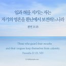오늘의 &#39;영어성경 사진&#39;(623강) “당신의 입과 말을 지키세요”(잠언 21장 23절) 이미지