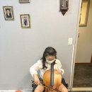 첼로(야간) 이미지