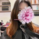 수아하다평내 네이버블로그