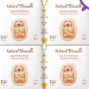 에어베베 이미지