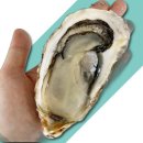 주식회사 팜 이미지