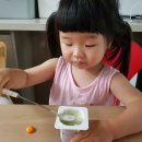 이성준동물병원 | 새싹보리 분말 쇳가루 대장균 검출사건 정리