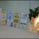 나비효과에스테틱 - 강남구 도곡로 323 | 나비효과에스테틱