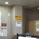 양천골 용대리 황태세상 티스토리