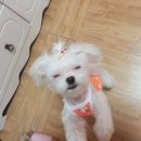 숲속의유치원 이미지
