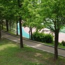 금왕읍 명품가로숲길 이미지