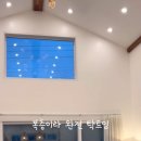 제주애 펜션 이미지