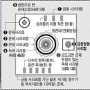 정광 이미지