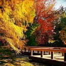 좋은생각 이미지