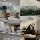 좋은마트 | 마산 교방동 미용실 스왑느 레이어드펌 후기 마산 머리 잘하는 곳 추천