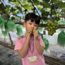 이레농장2 이미지