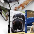 그루밍 타임 이미지