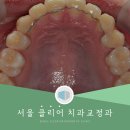 플러스원치과교정과치과의원 이미지