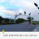 들마루 | 순천 여행 가성비 펜션 들마루 펜션