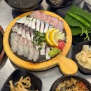 서구-01-06 | 대전 괴정동 맛집 활고등어전문점 고급모듬회 후기 | 바다곶