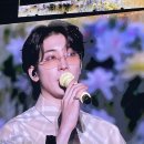 세븐틴 follow again 인천 앙콘 후기