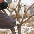 도촌 2농장 이미지