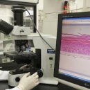 바이오헬스코리아 이미지