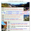 10월-단풍길 동행-accompanied by a maple road (수정) 이미지