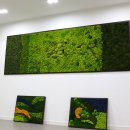 온누리의료재단 이미지