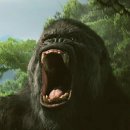 킹콩 이미지