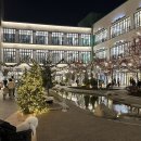 현대애견 이미지